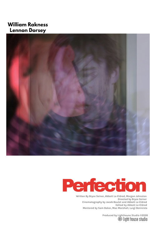 Perfection (2026) poster