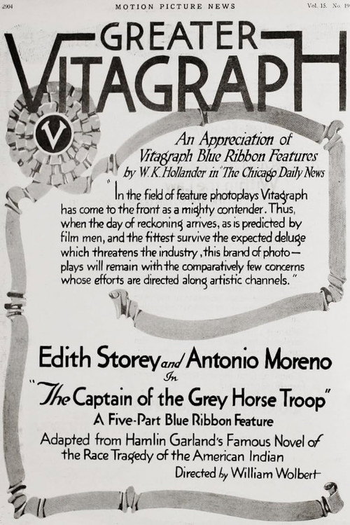 The Captain of the Grey Horse Troop