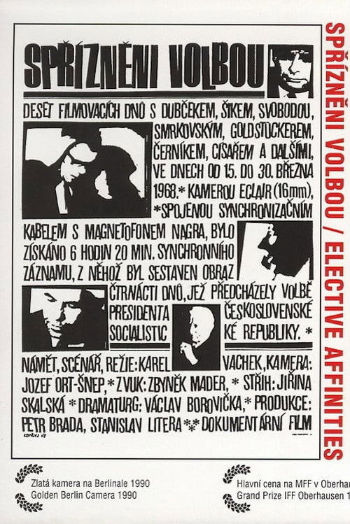 Elective Affinities (1968) poster
