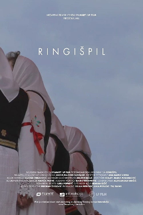 The Carousel (2015) poster