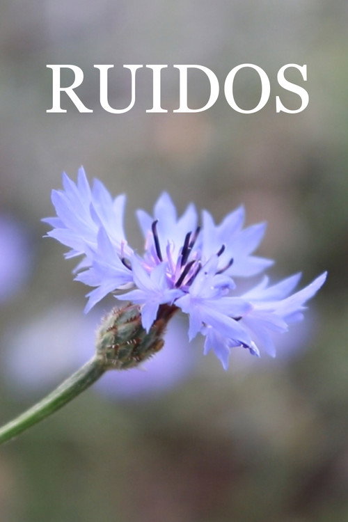 Ruidos (2023) poster