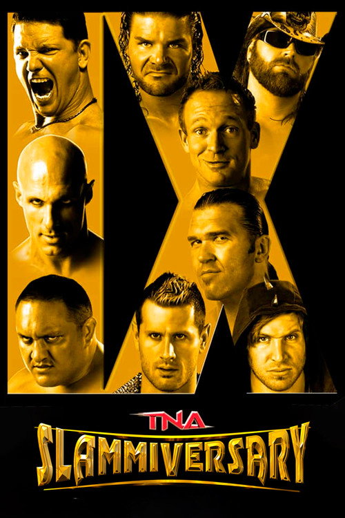 TNA Slammiversary IX