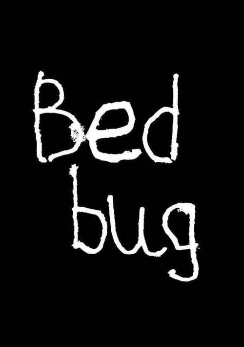 Bedbug