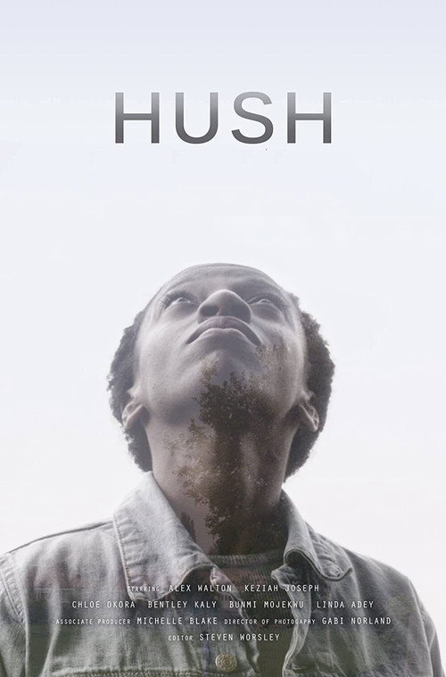 Hush (2016) poster