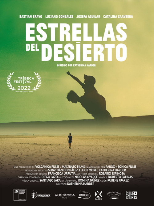 Desert Lights (2025) poster
