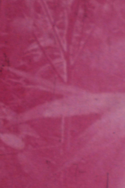 Ornamentals