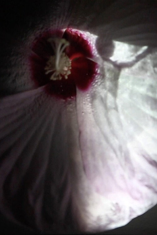 Fleur (2021) poster