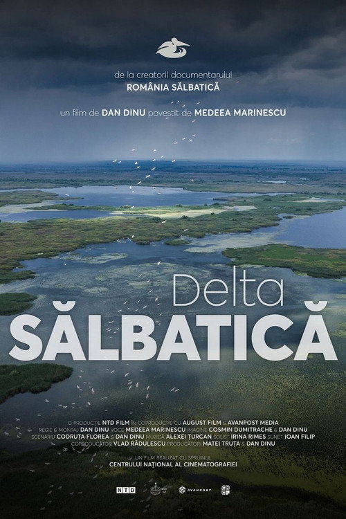 Wild Delta