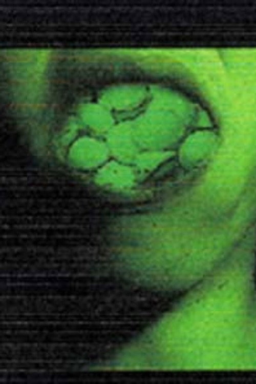 Naphthalene (2002) poster
