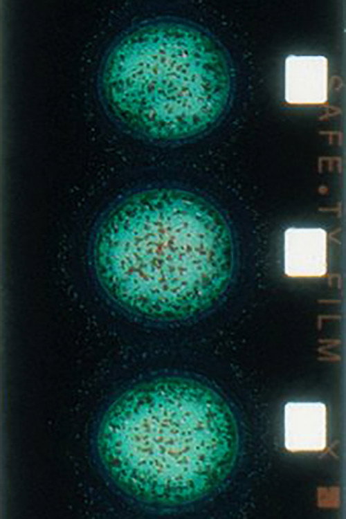 Crystallization (2000) poster