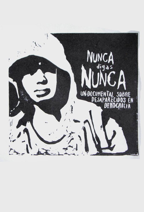 Nunca digas nunca (2014) poster