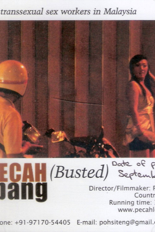Busted (2008) poster