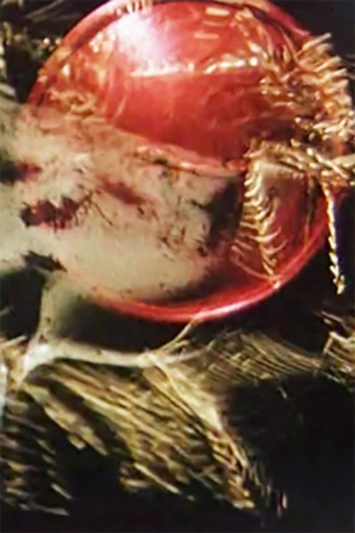 Vanitas (1962) poster