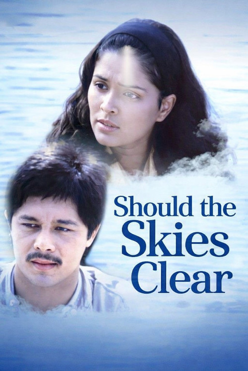 Should the Skies Clear