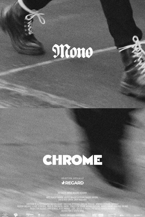 Monochrome (2026) poster
