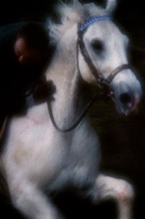 Horsey (2018) poster