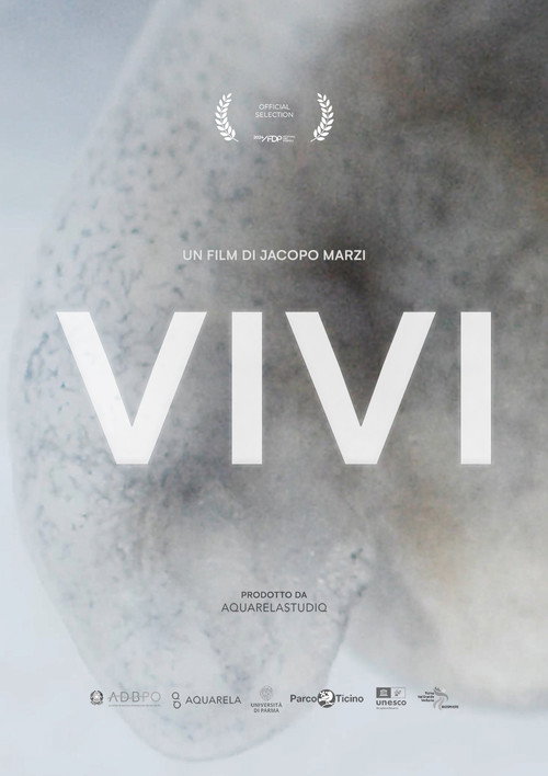 VIVI poster