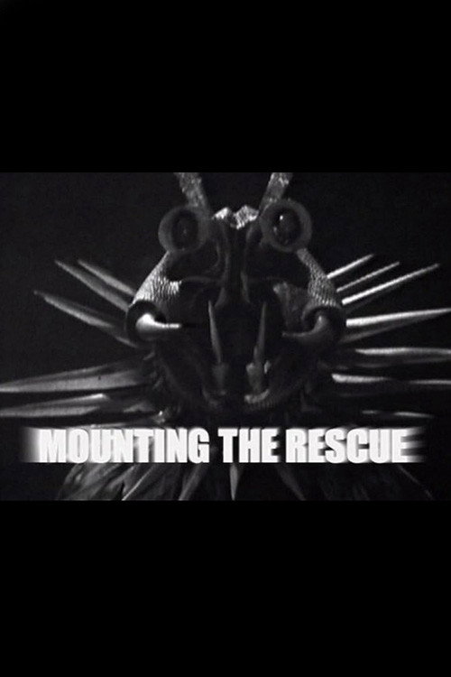 Mounting the Rescue