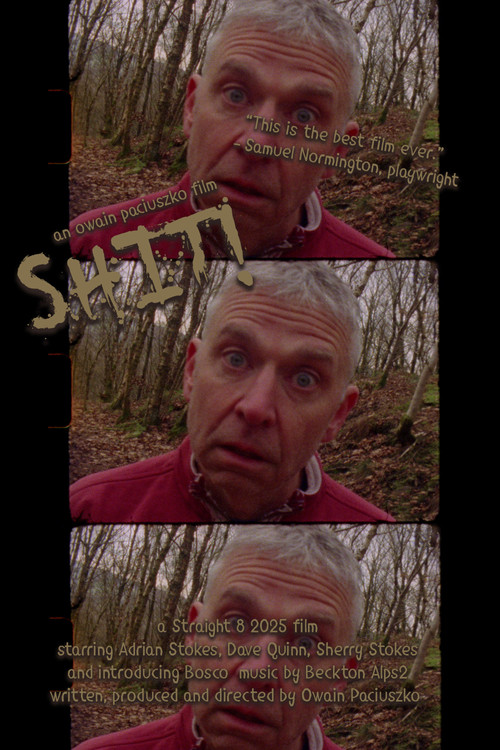 Shit! (2025) poster