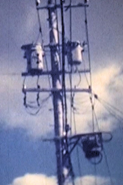 Canvas (1993) poster