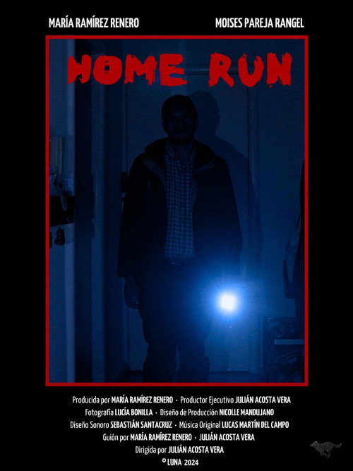 Home run (2024) poster