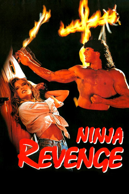 Ninja Vengeance