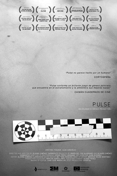 Pulse (2013) poster