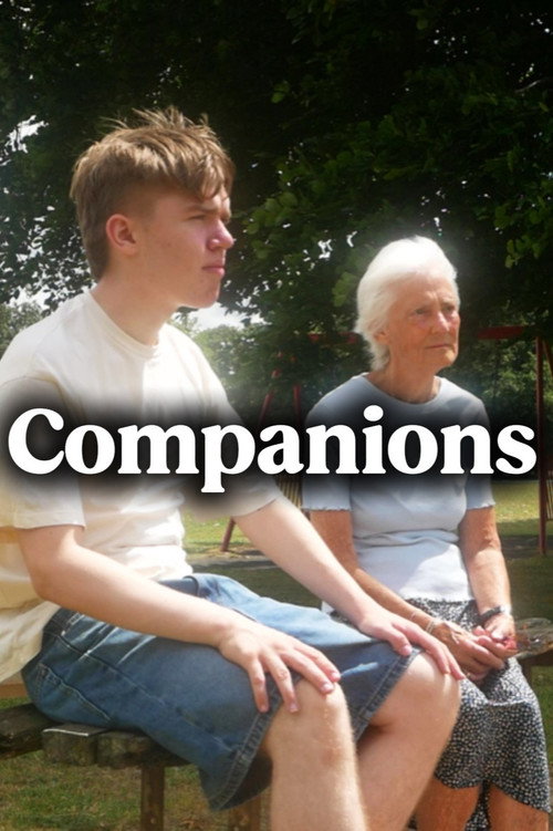 Companions poster