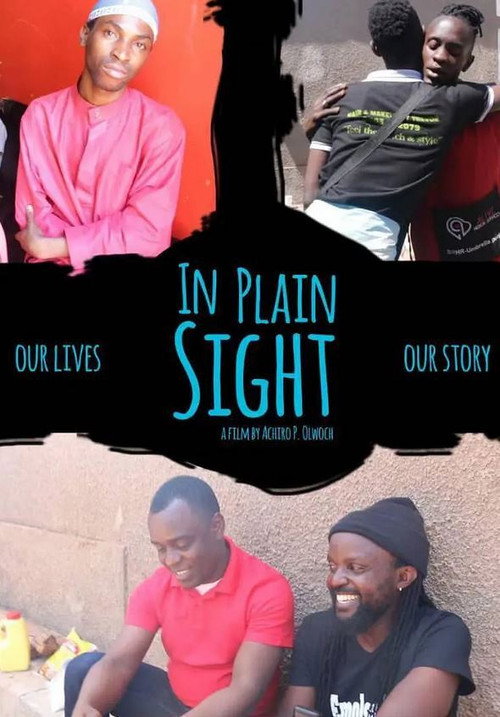 In Plain Sight (2019) poster