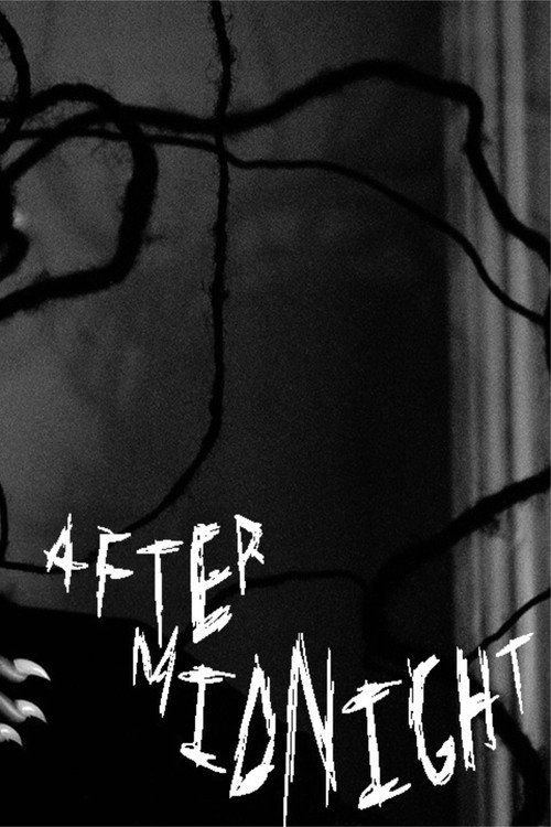 After Midnight (2026) poster