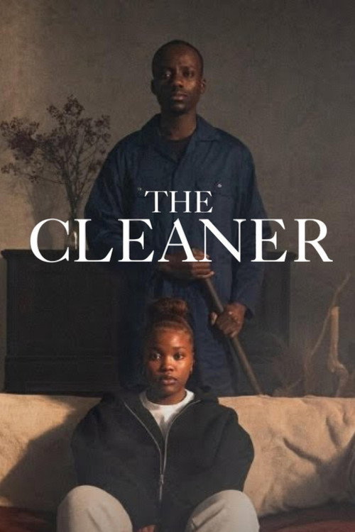The Cleaner (2025) poster