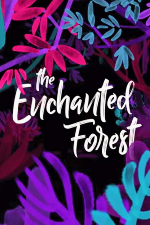 The Enchanted Forest (2017) poster