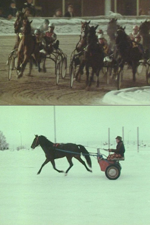 The Race (1981) poster