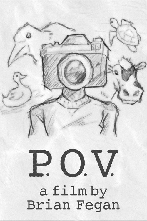 P.O.V. (2024) poster