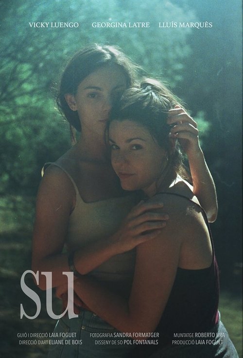 Su (2016) poster