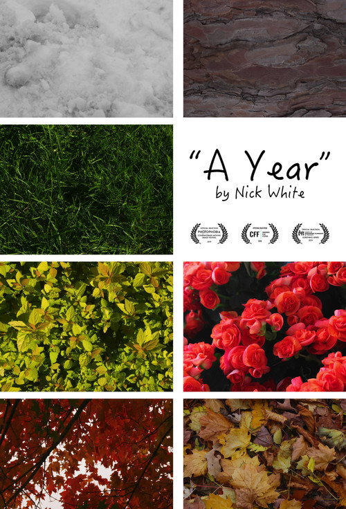 A Year (2019) poster