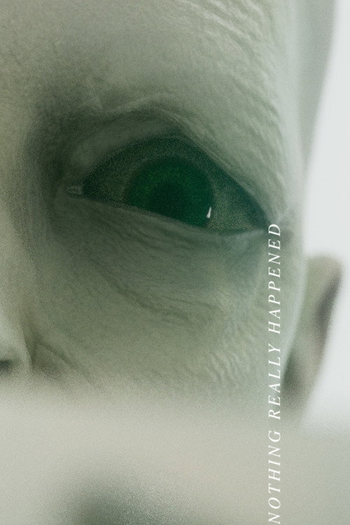 Nothing Really Happened (2025) poster