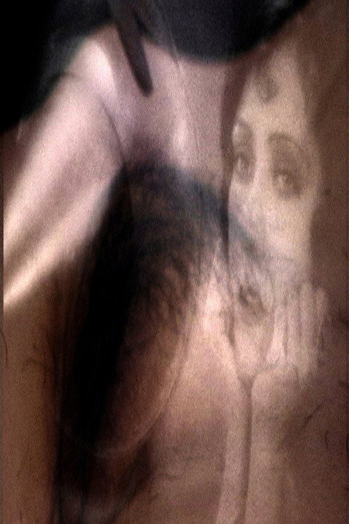 Elsa merdelamerdelamer