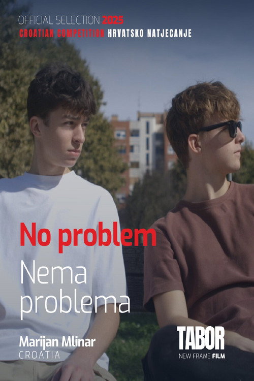 No Problem (2025) poster