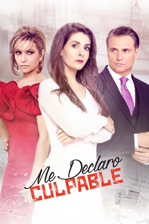 Me declaro culpable (2017) poster