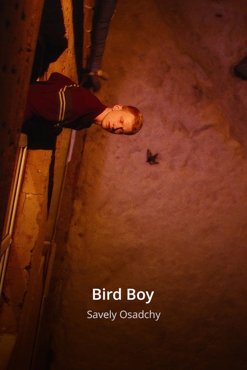 Bird Boy