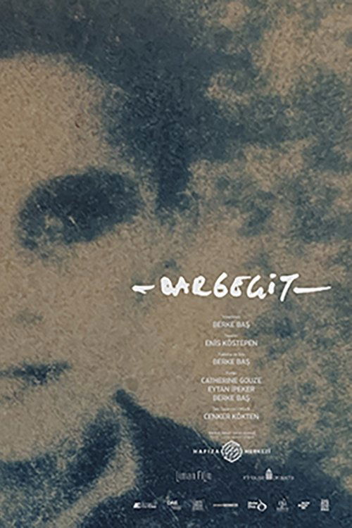 Hold Still (2024) poster