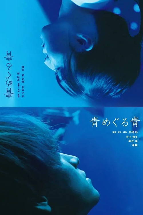 Blue Around Blue