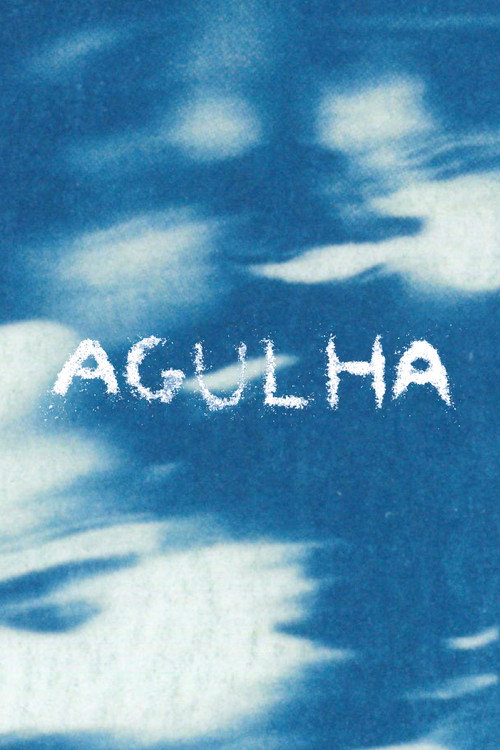 AGULHA