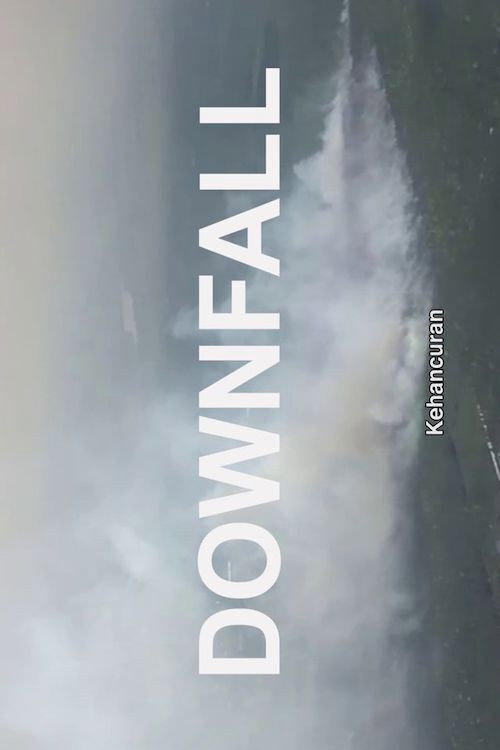 Downfall (2020) poster