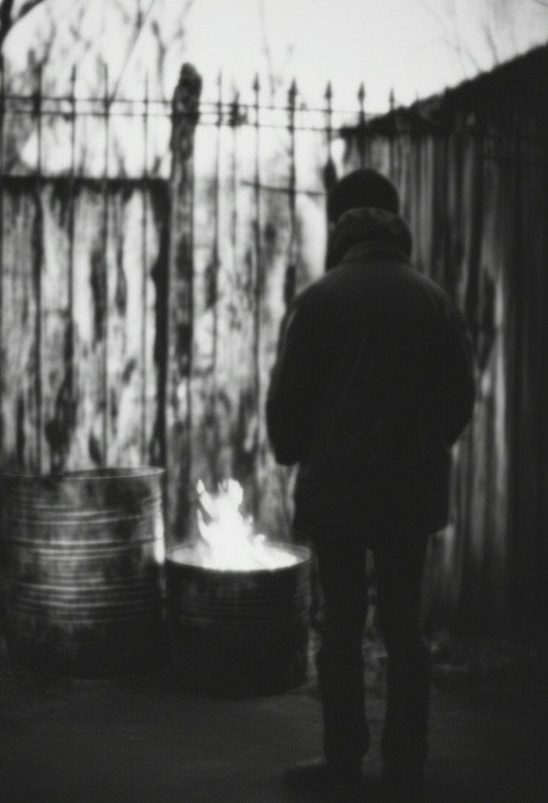 Life in the Shed