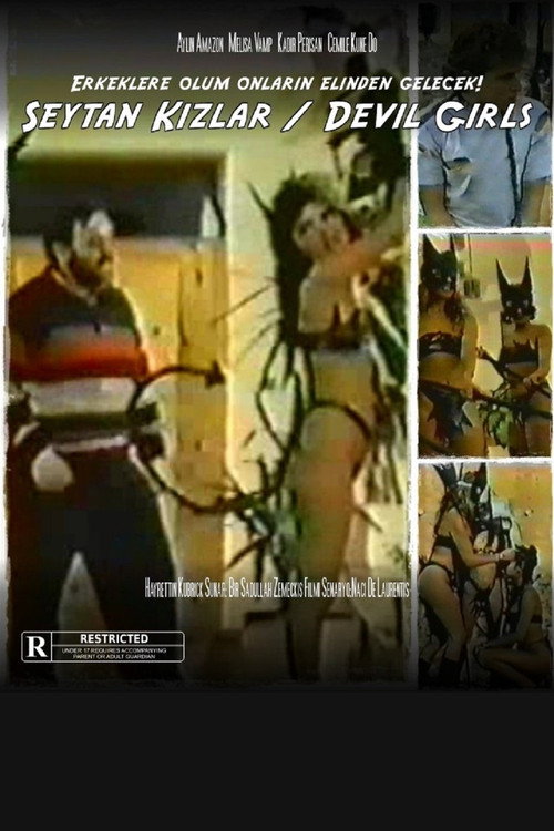 Devil Girls (1987) poster