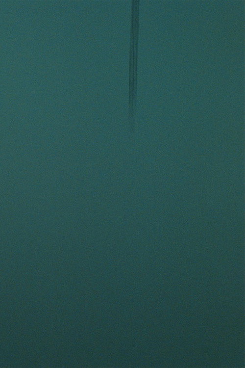 TEAL (2020) poster