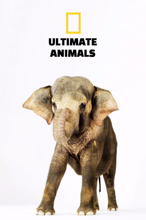 Ultimate Animals