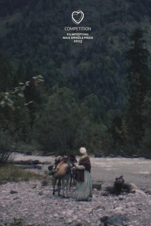 Gold Rush (2025) poster